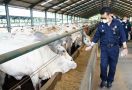 Kementan Sebut Stok Daging Sapi Cukup, Pedagang Berjualan Seperti Biasa - JPNN.com