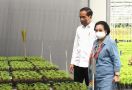 Didampingi Megawati, Jokowi Tinjau Program yang Bisa Menyelesaikan Masalah Tanah Air - JPNN.com