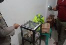 Remaja Mencuri Kotak Amal Musala untuk Berfoya-foya, Langsung Ditahan Polisi - JPNN.com