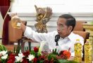 Jokowi Yakin Mafia Minyak Goreng Masih Bermain - JPNN.com