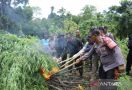 117 Anggota BNN Kepung Dusun Meurah Aceh, Hasilnya Luar Biasa - JPNN.com