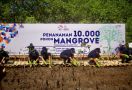 BRI dan PPATK Tanam 10 Ribu Pohon Mangrove Pada Peringatan 20 Tahun APU dan PPT - JPNN.com