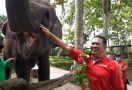 Bamsoet Kagumi Tempat Wisata Naik Gajah dan Arung Jeram di Bali - JPNN.com