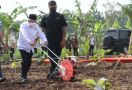 Wapres Ma'ruf Amin Ajak Masyarakat Manfaatkan Bertani Gunakan Konsep Ini - JPNN.com