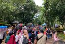Manfaatkan Libur Lebaran ke Ragunan, Warga Jakarta Antusias, Lihat Penampakannya - JPNN.com