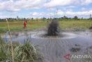 Ada Semburan Air Mengandung Gas Mudah Terbakar di Maluku, Lihat - JPNN.com