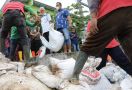 Ganjar Pranowo Terus Pantau Penanganan Banjir Rob di Pesisir Utara - JPNN.com