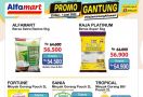 Promo JSM Alfamart, Banyak Potongan Harga, Lumayan, Bun! - JPNN.com