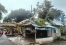 Pohon Besar Tumbang Diterjang Badai, Menimpa Rumah Warga - JPNN.com