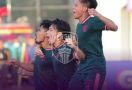 Gol Spektakuler Abu Rizal Bawa Persita Kalahkan Dewa United 2-1 - JPNN.com