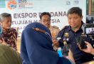 Bea Cukai Juanda Fasilitasi Perusahaan Blitar Ekspor Perdana Ikan Hias ke Malaysia - JPNN.com