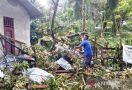 Pohon Durian Tumbang ke Rumah Warga Gegara Angin Ribut - JPNN.com