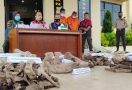 Polisi Tangkap Penjual Tulang Gajah, Sebegini Keuntungan yang Didapat - JPNN.com