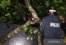 Polisi Beber Fakta Kondisi Bus Masuk Jurang di Tasikmalaya - JPNN.com