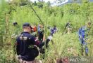 Polisi dan TNI Rela 3 Jam Berjalan Kaki Demi Tangkapan Besar, Total 13 Ton! - JPNN.com