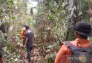 Sebelum Hilang di Tengah Hutan, Syarifuddin Sempat Mengeluh Soal Ini - JPNN.com