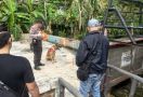 Usut Kasus Kematian Kekey, Polda Jambi Kerahkan Anjing Pelacak - JPNN.com