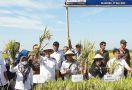 CSA Memberikan Dampak Signifikan Terhadap Pertanian di Pangkep - JPNN.com