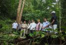 BKSDA Kalbar Melepasliarkan 30 Burung Kacer di Gunung Poteng - JPNN.com