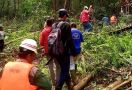 Seusai Seorang Wanita Diserang Harimau, BBKSDA Riau Pasang Perangkap di Lokasi Kejadian - JPNN.com