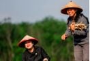 Puan Ikut Menanam Singkong Bareng Petani di Tulang Bawang - JPNN.com