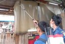 Ulat Bulu Menyerang, Warga Satu Kampung di Tangerang Resah - JPNN.com