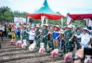Dukung Ketahanan Pangan Nasional, PHR & TNI AD Bersinergi Kelola 100 Ha Tanaman Pangan - JPNN.com