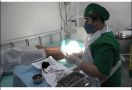 Catatan Kecil Sang Sukarelawan Dokter Bedah, Siap Operasi Pasien di Atas Kapal - JPNN.com