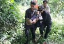 Peziarah Seharian Tersesat di Gunung Salak, Ditemukan di Tempat Ini - JPNN.com