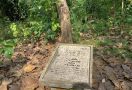 Kuburan Massal Hutan Plumbon, Saksi Bisu Tempat Mengeksekusi Mereka yang Dianggap PKI - JPNN.com