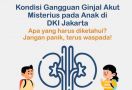 Gagal Ginjal Akut Misterius Pada Anak Terjadi Tanpa Penyakit Penyerta - JPNN.com