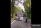 Viral Bajing Loncat Beraksi di Jalan Raya - JPNN.com