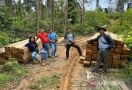 AKBP Nuswanto: Sudah Kami Tetapkan Satu Orang Tersangka Kasus Illegal Logging - JPNN.com