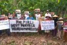 Petani Kakao Sulawesi Minta Firli Mengusut Dugaan Penyelewengan Pupuk Bersubsidi - JPNN.com