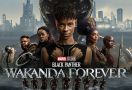 Kantongi Rp 6,2 Triliun di Box Office, Black Panther Kalahkan Doctor Strange - JPNN.com