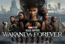 Film Black Panther: Wakanda Forever, Penuh Konflik dan Duka - JPNN.com