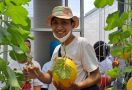 OMG Jakarta Berikan Bantuan Lahan untuk Puluhan Petani di Duren Sawit - JPNN.com