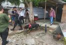 Gerebek Kampung Boncos, Polisi Terjunkan Anjing Pelacak, Ini Hasilnya - JPNN.com