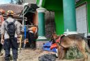 Anjing K-9 Ikut Mencari Korban Gempa Cianjur, 2 Jenazah Ditemukan - JPNN.com
