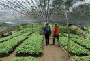Bantu Pulihkan Ekosistem, Tunas Inti Abadi Borong Penghargaan ISDA 2022 - JPNN.com