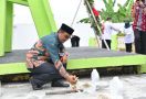 Kemendes PDTT Gelar Upacara Tabur Bunga di Kompleks Makam Pionir Transmigrasi - JPNN.com