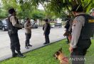 11 Anjing Bersiaga di Acara Tasyakuran Pernikahan Kaesang dan Erina, Ini Tugasnya - JPNN.com