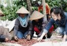 Ikhtiar Evani Jesslyn dengan Strada Coffee Memajukan Kopi Indonesia - JPNN.com