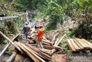 Hutan Gunung Lengkuas Bintan Rusak Parah, Pelaku Pembalakan Liar Belum Ditangkap - JPNN.com
