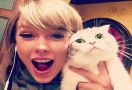 Kucing Taylor Swift Jadi Hewan Peliharaan Terkaya Ketiga di Dunia, Sebegini Kekayaannya - JPNN.com