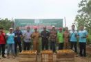 Petani DMPA Sukses Panen Raya Tomat & Jagung, Hasilnya Sebegini  - JPNN.com