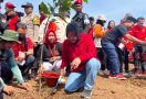 Dengan Menanam Pohon, Risma Yakin Banjir di Jawa Barat Bisa Berkurang - JPNN.com