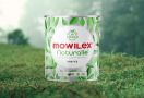 Mowilex Hadirkan Naturalle, Cat Peningkat Kualitas Udara dalam Ruangan - JPNN.com