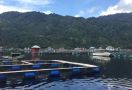 Ratusan Ton Ikan di Danau Ranau Mati Mendadak, Dinas Perikanan Ungkap Penyebabnya - JPNN.com