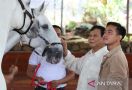 Duet Prabowo-Gibran Diyakini Terwujud, Jokowi Berani dengan PDIP? - JPNN.com